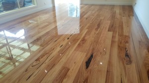 Chestnut poly gloss