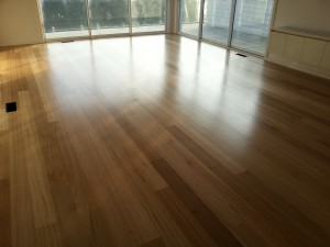 Tasmanian oak satin